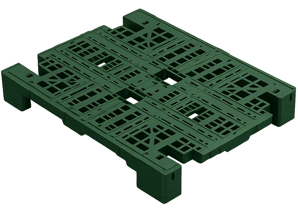 Nestra product showcase